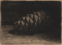 KG 18032
          <br/>
          Denneappel
          <br/>
          <em>Nachenius, Jan Coenraad (1890-1987)</em>